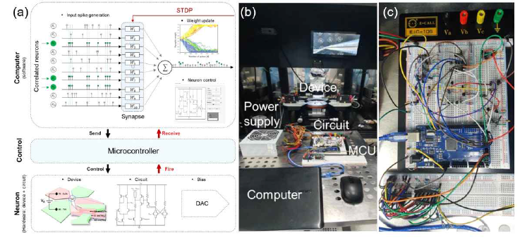 (a) correlation detection 수행을 위한 1개의 NDR 뉴런(하드웨어)과 1000개의 시냅스(소프트웨어)로 구성된 시스템의 모식도, (b) 실험 setup 및 (c) 회로 구성