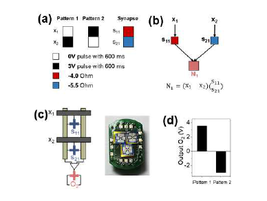 2 Synapse & Neuron 소자의 통합 거동을 통한 Pattern 인식 실험