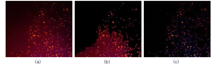 박테리아 영상의 배경분리 결과. (a) 원본 영상, (b) K-mean clustering 방법 적용 결과, (c) Morphological opening 적용 결과