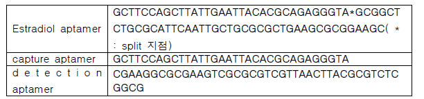 에스트라다이올 검출용 split aptamer 시퀀스