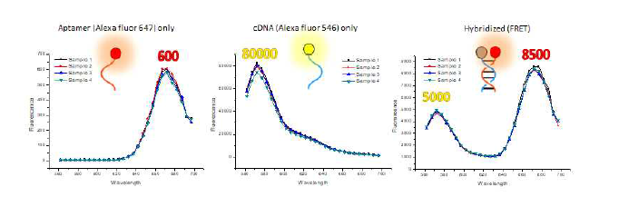 Spectrometer를 통해 용액상에서 FRET(Forster Resonance Energy Transfer) 효율 검증