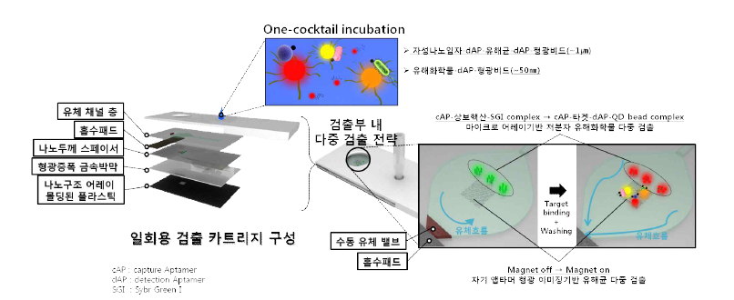 검출용 센서카트리지 구성도 및 검출 개념도