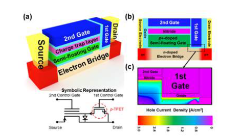 semi-floating gate(SFG) 구조를 갖는 시냅스 모방 소자. (a) 소자 구조의 모식도 및 회로 기호. (b) 소자 의 단면도. (c) band-to-band tunneling으로 채널 및 semi-floating gate로 주입되는 정공의 흐름 도시