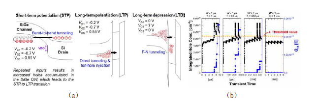 QW CTS의 시냅스 동작. (a) STP/LTP/LTD 동작. (b) pulse interval에 따른 LTP transition