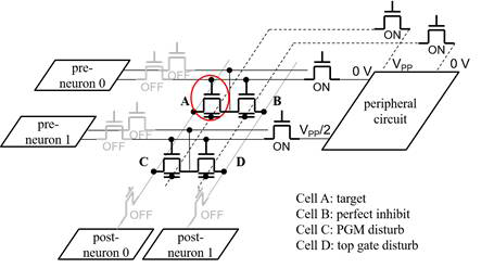 시냅스 어레이의 program(potentiation) 및 erase(depression) 동작 scheme