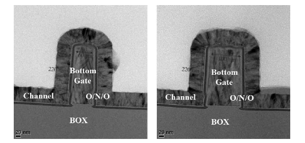 overpass-channel 시냅스 소자의 bottom gate fin, O/N/O 및 ultra-thin channel 공정 결과. fin의 폭 은 60 nm(좌), 100 nm(우)이며 높이는 220 nm로 정의됨. channel thickness = 20 nm