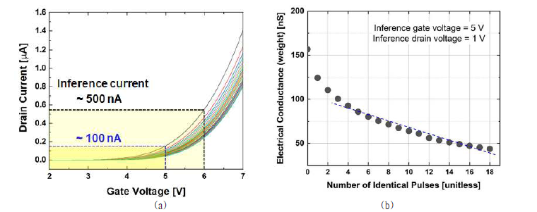제작된 planar 폴리실리콘 채널 시냅스 소자의 동작 특성. (a) 전달 특성 곡선 (b) 펄스 수에 따른 선형적 가중치 변화