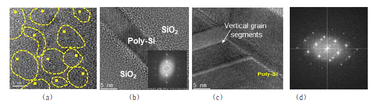 폴리실리콘의 두께에 따른 결정화 경향 분석. (a) 600도에서의 결정성 분석(단면). (b) 20 nm 두께 박막에 서의 에서의 1차원적 grain boundary 형성(700도 annealing). (c) 50 nm 두께 박막에서의 2차원적 grain boundary 형성(700도 annealing). (d) 50 nm 두께 박막에서의 EDP 분석