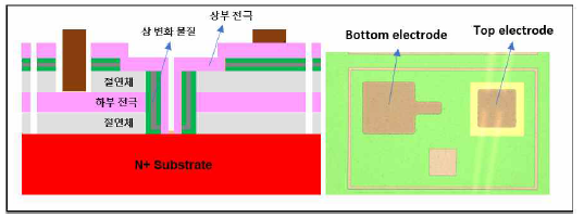 (좌) 3D Cell stacking 단일 시편 모식도 (우) Cell의 Top view Optical microscopy Image