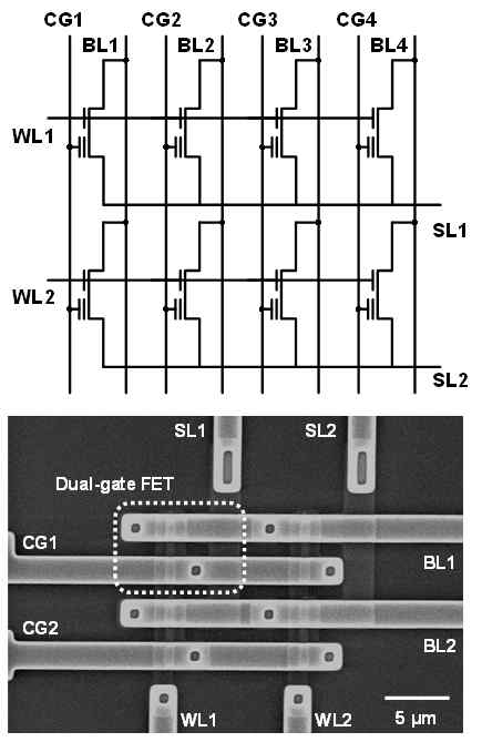 dual-gate FET 기반 NOR 타입 어레이