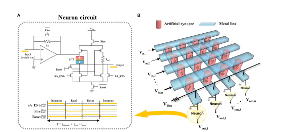 (a) integrate-and-fire을 위한 뉴런 회로 (b) artificial synapse을 삽입한 crossbar array