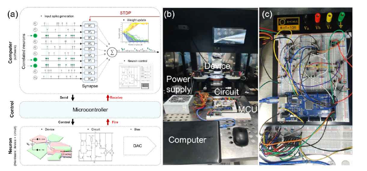 (a) correlation detection 수행을 위한 1개의 NDR 뉴런(하드웨어)과 1000개의 시냅스(소프트웨어)로 구성된 시스템의 모식도, (b) 실험 setup 및 (c) 회로 구성