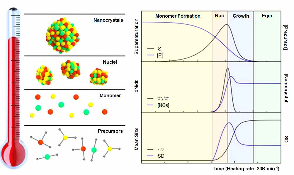 시간에 따른 전구체, 나노입자 농도 및 크기분포 변화 도식도