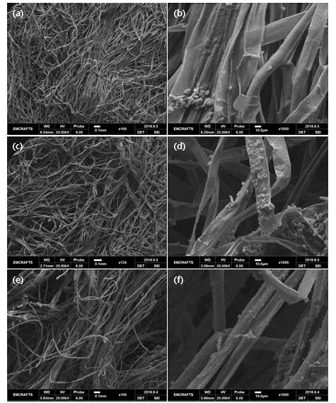 초음파 실험 결과 SEM 사진. (a,b) 1A 시료 결과. (c,d) 1B 시료 결과. (e,f) 1C 시료 결과