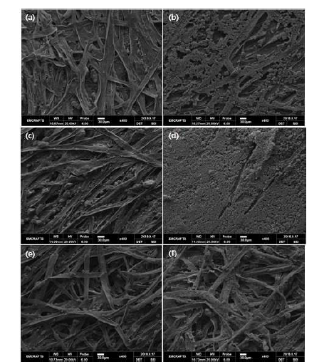 2A의 (a) 윗면, (b) 밑면 표면 SEM 이미지. 2B의 (c) 윗면, (d) 밑면 표면 SEM 이미지. 2C의 (e) 윗면, (f) 밑면 표면 SEM 이미지