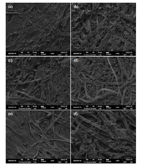 초음파 처리 후 2A의 (a) 윗면, (b) 밑면 표면 SEM 이미지. 초음파 처리 후 2B의 (c) 윗면, (d) 밑면 표면 SEM 이미지. 초음파 처리 후 2C의 (e) 윗면, (f) 밑면 표면 SEM 이미지