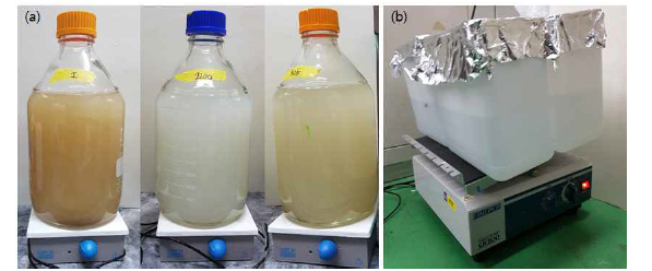 비방사성 세슘 흡착 실험 사진. (a) 흡착제만 넣은 경우(왼쪽에서부터 illite, zeolite 1200, zeolite 325) (b) 복합막과 세슘 수용액을 함께 넣은 경우