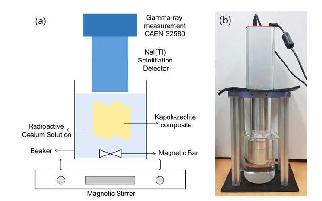 방사성 오염수 실험 모식도. (a) 케이폭-제올라이트 막을 방사성 오염수에 침지 시킨 방사성 세슘 이온 흡착 실험의 모식도와 (b) 방사능 측정 장비의 사진