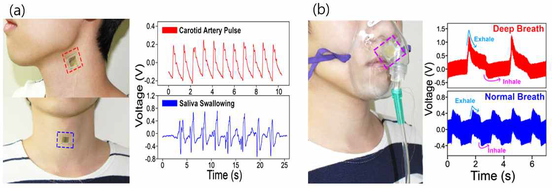 (a) 경동맥의 맥박 파형 및 행동 감지 (b) 압전 센서 기반 호흡 감지