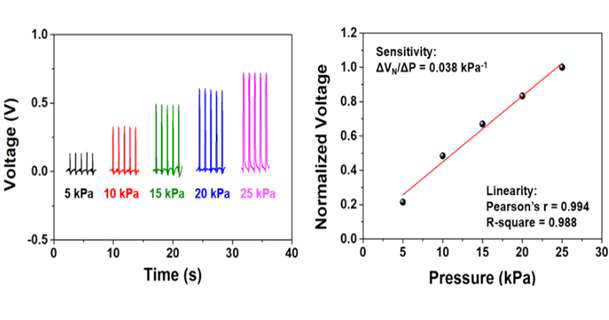 유연 압전 혈압 센서의 압력에 따른 높은 선형성