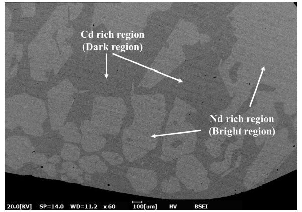 액체 Cd 전극에 Nd3+ 이온을 환원시킨 후 SEM으로 관찰한 Cd-Nd alloy 단면