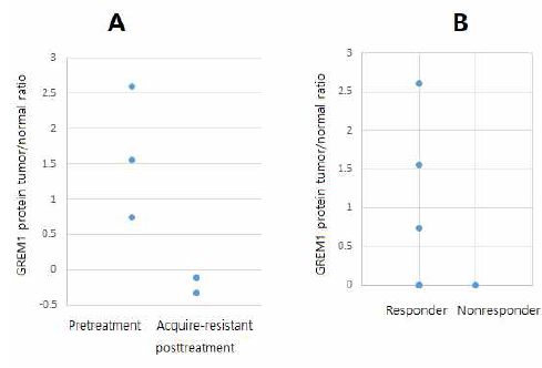 GREM1 의 표적치료제 내성에의 연관성 확인을 위한 단백체 분석