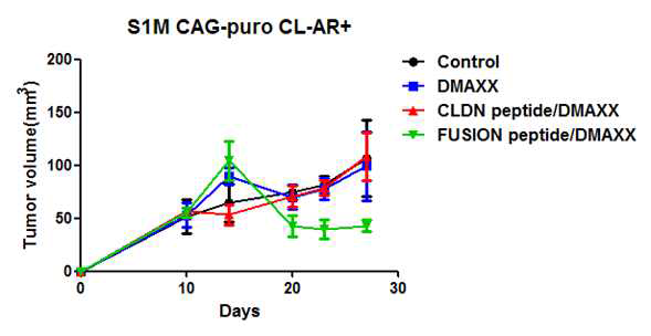 S1M-empty, S1M-CLDN18-ARHGAP26 tumor growth measurement