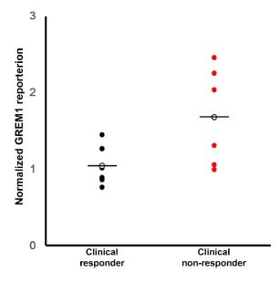 LC-MS/MS data for GREM1 (O60565) in gastroscopic biopsy from clinical responders and non-responders. (P < 0.05)