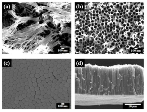 FE-SEM 이미지. (a) 양극 산화 후, TiO2 나노 튜브 어레이의 위 부분, (b) TiO2 나노 튜브 어레이의 번들을 제거한 후, 이미지, (c) TiO2 나노 튜브 어레이의 아래 부분, 그리고 (d) TiO2 나노 튜브 어레이의 측면 부분
