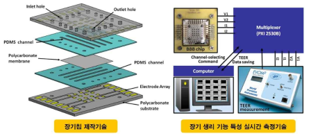 장기 생리 기능 특성 실시간 측정 기술