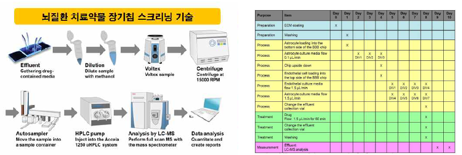 약물투과도 스크리닝 프로세스