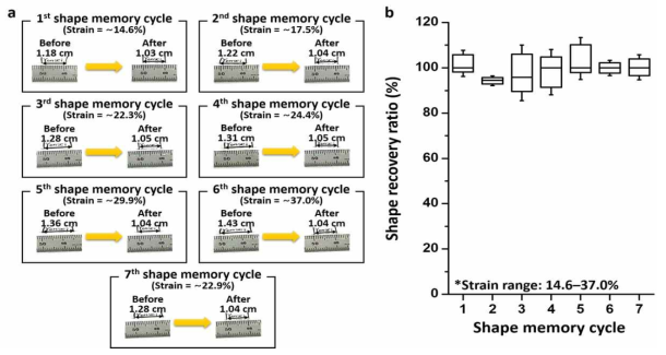 형상기억 고분자의 복원능 평가. (a) 7번의 연속된 형상기억/복원 (b) 7번의 연속된 형상기억/복원 과정에서의 형상기억 복원능(%)