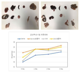 급성독성 시험 결과