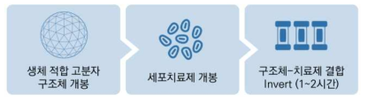 마이크로 스캐폴드 세포 담지 프로토콜