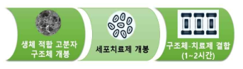 마이크로 스캐폴드 세포 담지 프로토콜