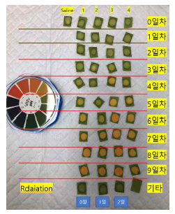 기간별 분해 평가(pH)