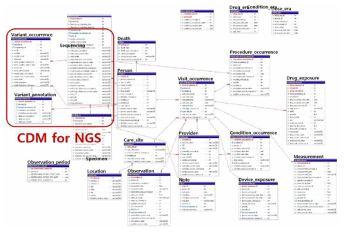 전체 의료정보에 대한 CDM 데이터베이스 스키마