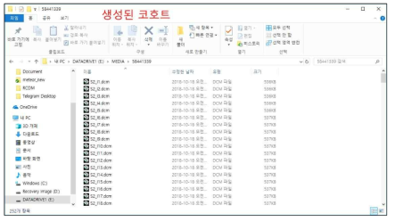 익명화/비식별화되어 지정한 폴더(MEDIA\58441339)로 저장한 코호트 데이터