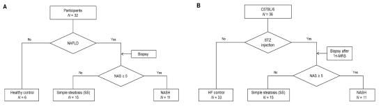 비알코올성 지방간질환 선정기준 플로우차트: 환자 (A)와 마우스 질환모델 (B)