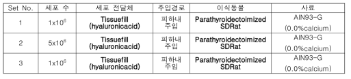 in vivo 실험을 통한 유효성 검증