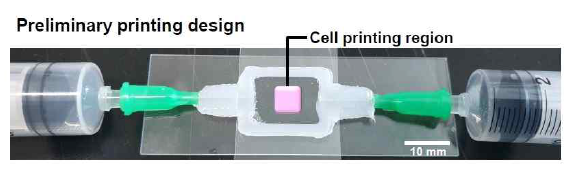 3D 프린팅 기반 부갑상선 모사 organ on a chip - Prototype. organ on a chip 양쪽으로 배양액 순환 시스템을 구축하고 그 중심에 3D 프린팅을 통해 세포를 인쇄함으로서 3D 구조에서의 세포의 배양을 가능하게 함