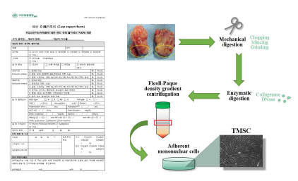 임상증례지 및 편도조직의 채취 및 분리과정