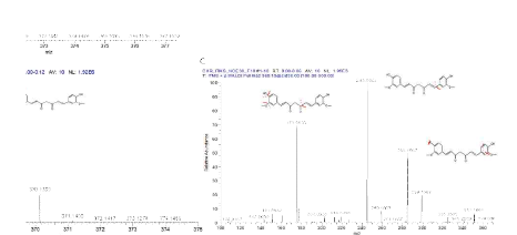 MALDI-MS/MS spectrum of CUR