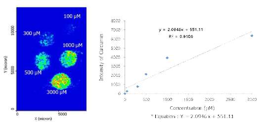 Calibration and quantification of CUR on tissue