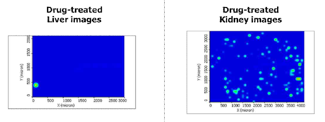 Images of distribution of APZ