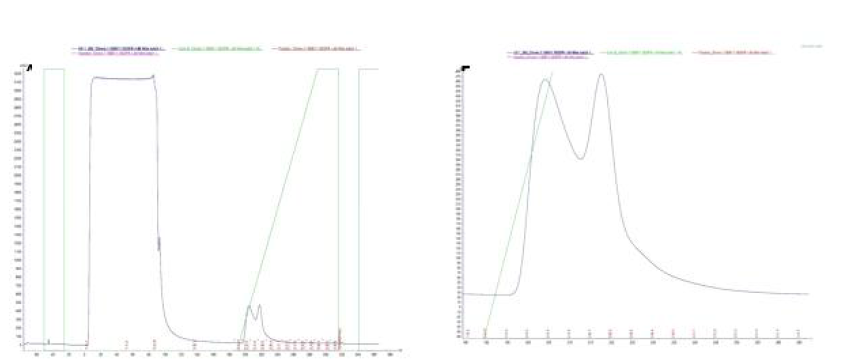 Chromatograms from affinity chromatography of VEGFR2+JM Nhis batch 1. (A) Full chromatogram. (B) Elution peak