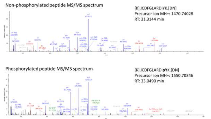 Annotated sequences, corresponding MS-spectra from resulting peptide containing phosphorylation site in VEGFR2-plus JM-N-HIS construct, with pre-cursor ion;1550.70846