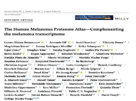 Clinical Translational Medicine; 2020 Impact Factor: 11.49