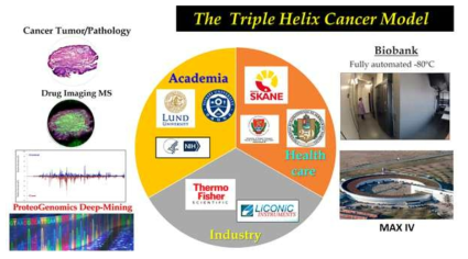 Illustration of the Next-Phase GRL Triple Helix Cancer Model