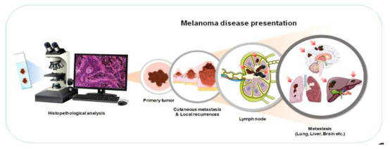 Illustration of our Molecular Pathology development line outlined as a delivery within the GRL project